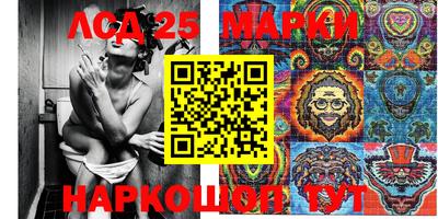 гашик Донской