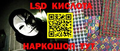 гашик Донской