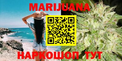 гашик Донской