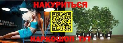 гашик Донской