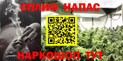гашик Донской