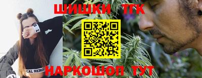 гашик Донской