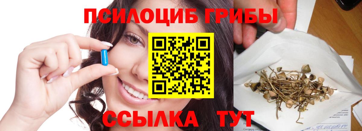 Псилоцибиновые грибы Psilocybine cubensis  Вход с VPN  Междуреченск 