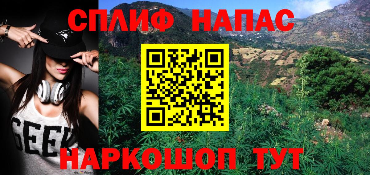 Конопля White Widow Междуреченск